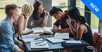 Study group working together